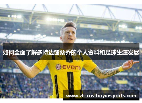 如何全面了解多特边锋桑乔的个人资料和足球生涯发展 如何全面了解多特边锋桑乔的个人资料和足球生涯发展