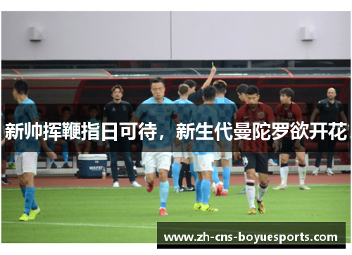 新帅挥鞭指日可待,新生代曼陀罗欲开花 新帅挥鞭指日可待,新生代曼陀罗欲开花