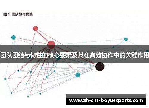 团队团结与韧性的核心要素及其在高效协作中的关键作用 团队团结与韧性的核心要素及其在高效协作中的关键作用