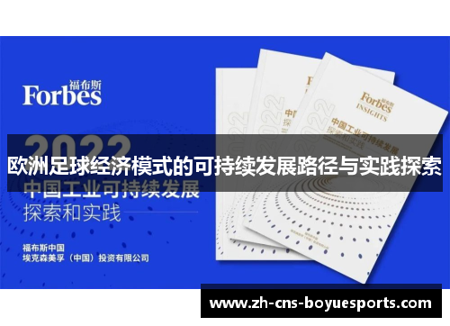 欧洲足球经济模式的可持续发展路径与实践探索 欧洲足球经济模式的可持续发展路径与实践探索
