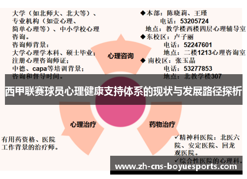 西甲联赛球员心理健康支持体系的现状与发展路径探析