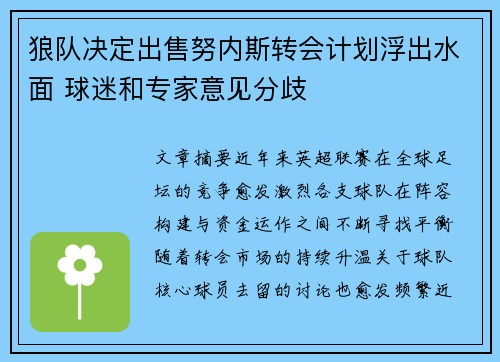 狼队决定出售努内斯转会计划浮出水面 球迷和专家意见分歧